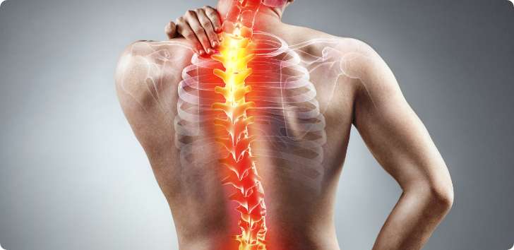 Widok pleców od tyłu z podświetlonym kolorem czerwonym kregosłupem